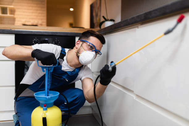 Best Affordable Pest Control Services  in Edgewater, CO