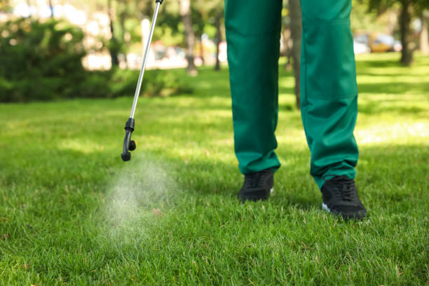 Best Emergency Pest Control  in Edgewater, CO