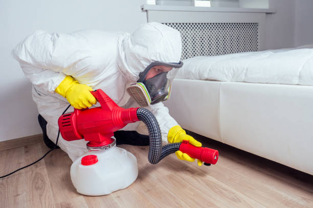Best Insect Control  in Edgewater, CO