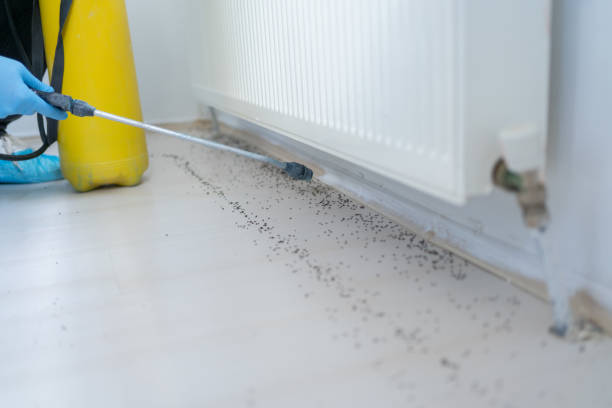 Best Pest Removal Services  in Edgewater, CO