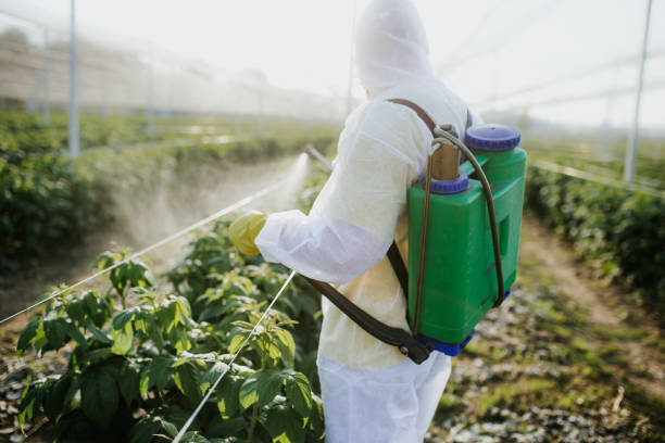 Edgewater, CO Pest Control Company